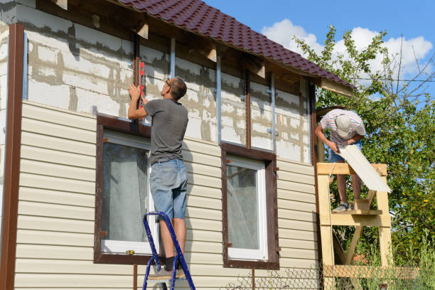 Best Siding Painting and Refinishing  in Plain City, UT